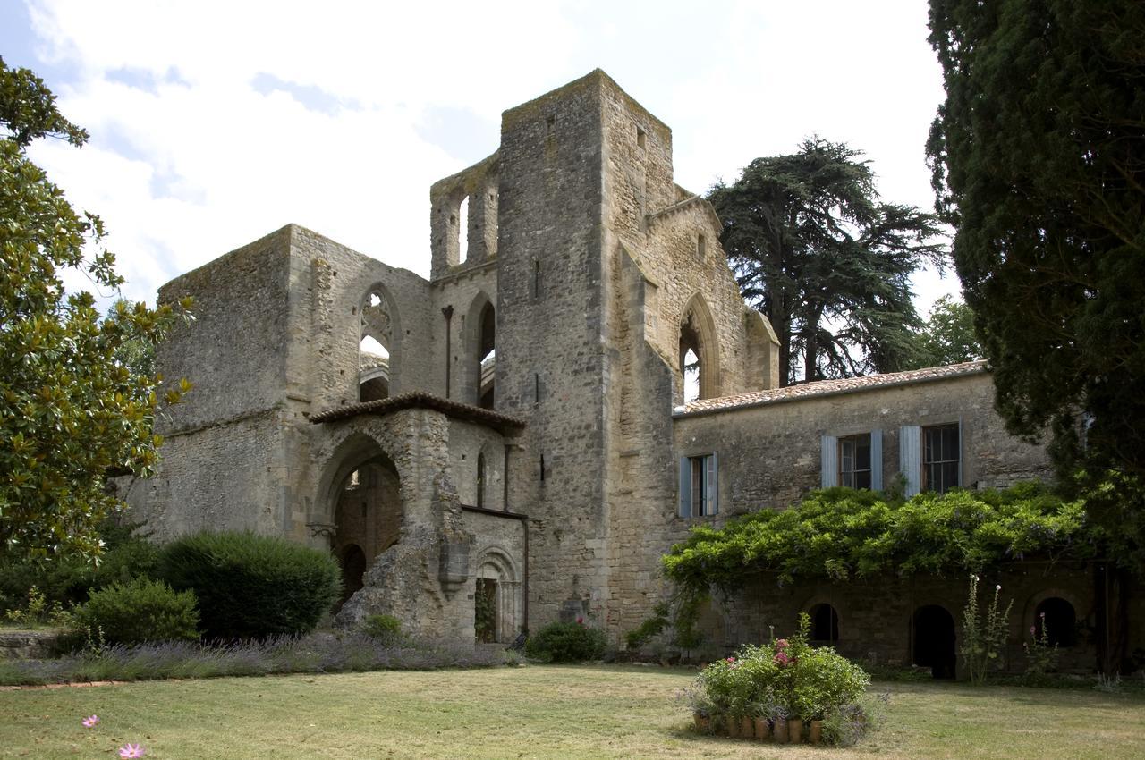 Abbaye De Villelongue Saint-Martin-le-Vieil Zewnętrze zdjęcie